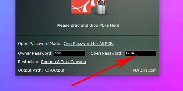 Set the Open Password